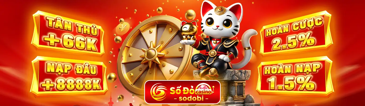 Banner-sodobi