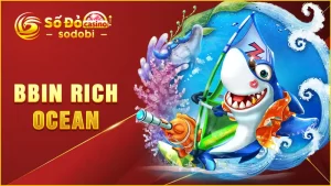 BBin Rich Ocean