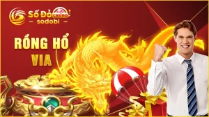 rồng hổ