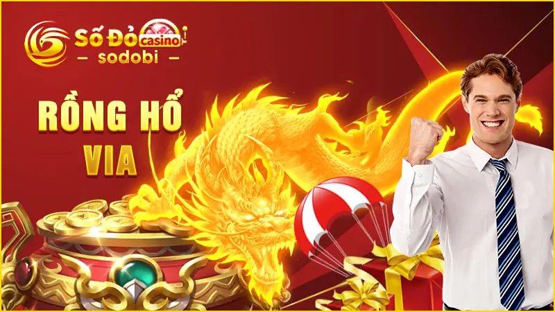 rồng hổ
